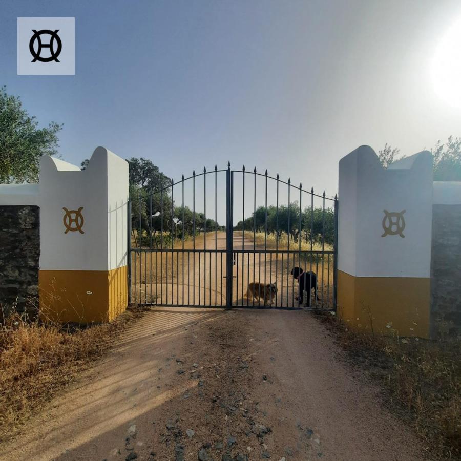 Herdade Da Ordem Cabeco de Vide Exterior photo